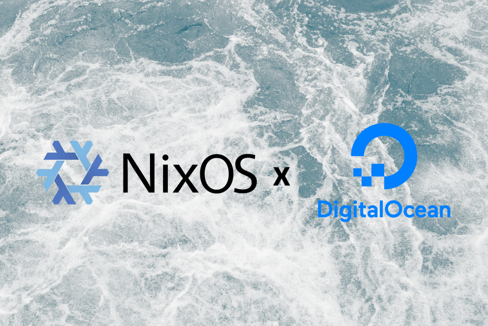 Take Your NixOS Container Config and Shove It…