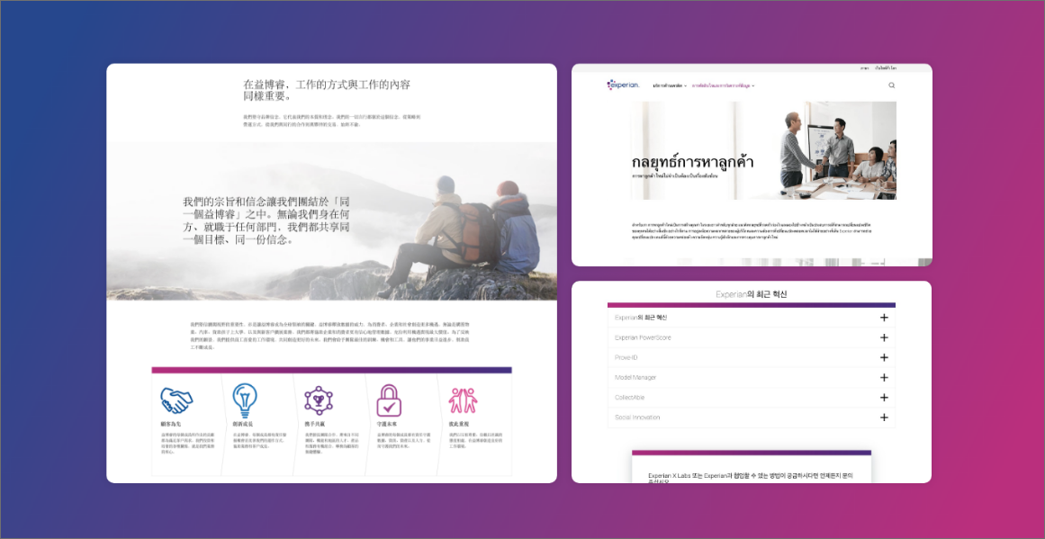 Experian Plataforma Web Segura Multi-País screenshot 4