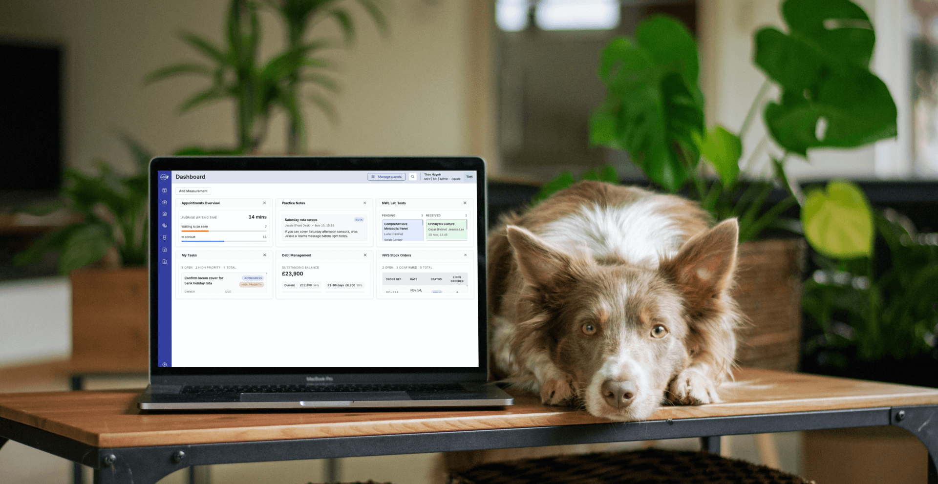 VetIT — Sistem Pengurusan Amalan Veterinar screenshot 5